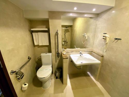 a bathroom with a toilet and a sink at Hotel Arnia in Iaşi