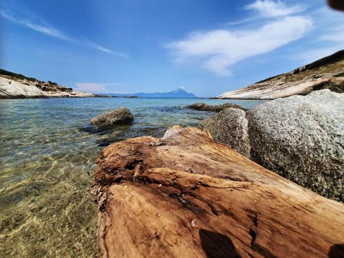 Φυσικό τοπίο κοντά σε αυτή η εξοχική κατοικία
