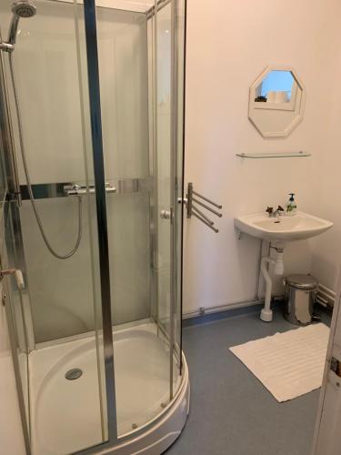 a bathroom with a shower and a sink at Anneberg Guesthouse in Ekshärad