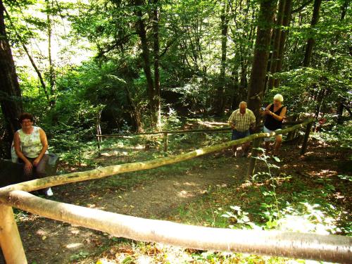 a group of people walking in the woods at Privatzimmer und Ferienwohnungen Leeb in Persenbeug-Gottsdorf