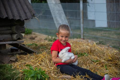 a young boy sitting on hay holding a white rabbit at Landhotel Haagerhof in Aigen im Mühlkreis