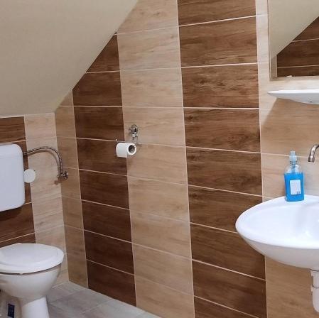 a bathroom with a toilet and a sink at Torony Lovarda Magánszállás in Kiskunfélegyháza