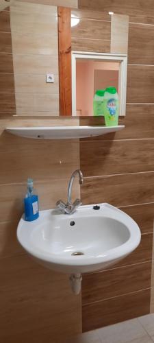 a bathroom sink with a mirror and a green detergent at Torony Lovarda Magánszállás in Kiskunfélegyháza