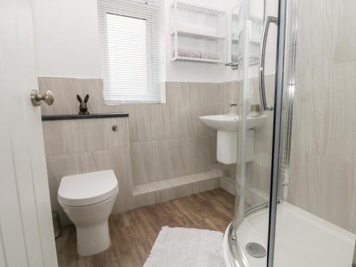 La salle de bains est pourvue de toilettes, d'un lavabo et d'une douche. dans l'établissement Hunters Cottage, à Highpeak Junction