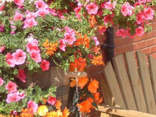 un ramo de flores colgando de una pared de ladrillo con un banco en The Walnut Tree Inn Mere, en Mere