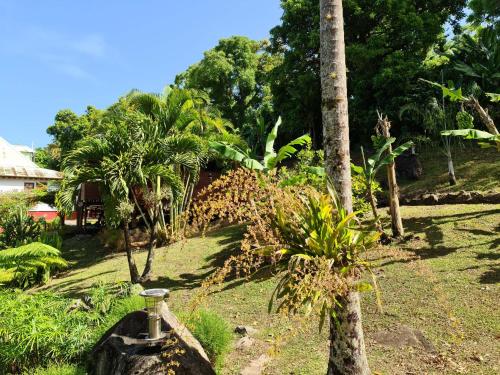 Giardino di Les Bananes Vertes Ecolodges