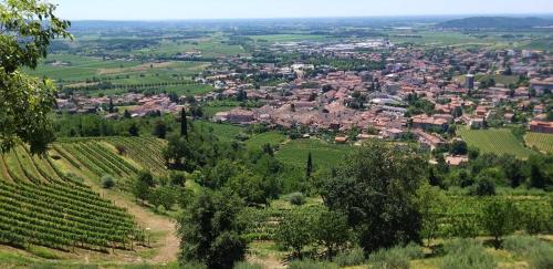 a view of a city from a hill with vineyards at La Casetta in Piazzetta in Cormòns