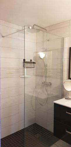 y baño con ducha y puerta de cristal. en GUETHARY APPARTEMENT PLAIN PIED PROCHE PLAGE CENITZ en Guéthary