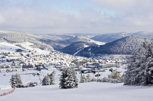 a ski slope with a town in the snow at Sonnenhof-Willingen in Willingen