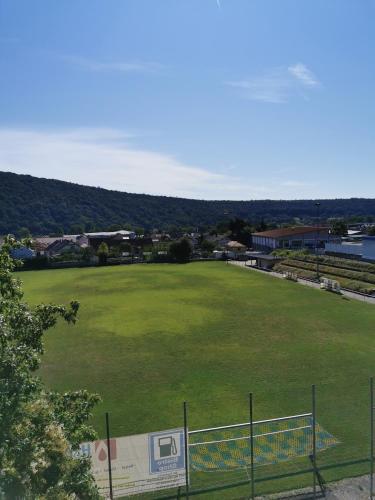 a large field with a fence and a soccer field at Hotel Mainperle in Wertheim