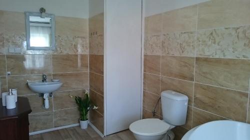 a bathroom with a toilet and a sink at Ubytovaní Šaslun in Kolešov