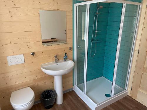 a bathroom with a shower and a sink and a toilet at Casa Ortis in Paluzza