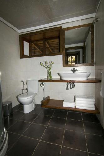 a bathroom with a toilet and a sink at Villa Awara - Piscina privada - Private pool - by Rural La Palma in El Pinillo