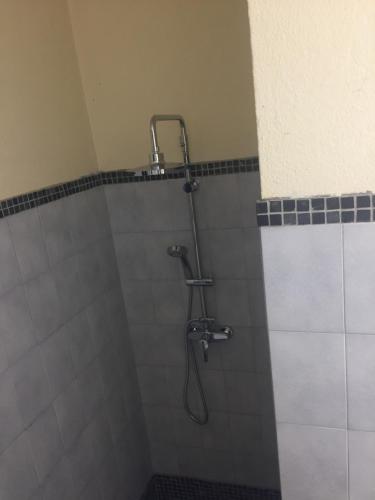 a shower with a hose in a bathroom at gîtes de corse in Ventiseri