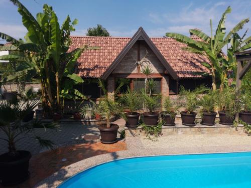 une maison avec beaucoup de plantes et une piscine dans l'établissement Villa Palma, à Aljmaš
