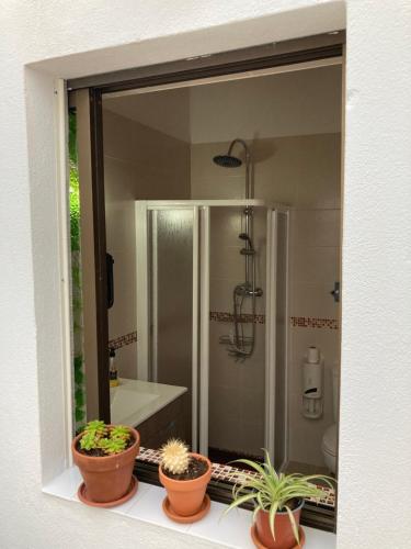 a bathroom with three potted plants on a window at Casa do Correio in Odeleite