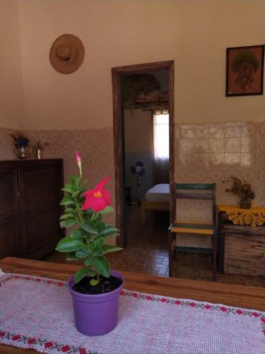 Ένα ή περισσότερα κρεβάτια σε δωμάτιο στο Hostel Tiradentes