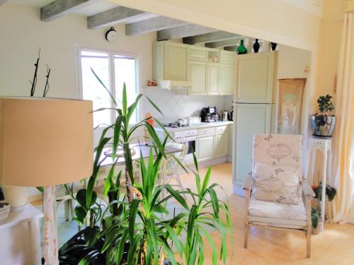 een keuken met een stoel en een plant in een kamer bij Nature sud Malpas in Accons