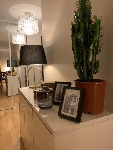 a living room with a potted plant on a counter at Luxury Appartement Disneyland in Magny-le-Hongre