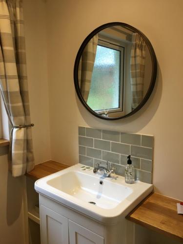 a bathroom with a sink and a mirror at East Park B&B in Roybridge