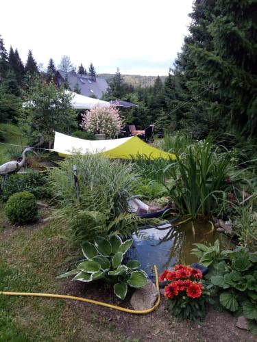 Taman di luar Ferienwohnung Rogowski