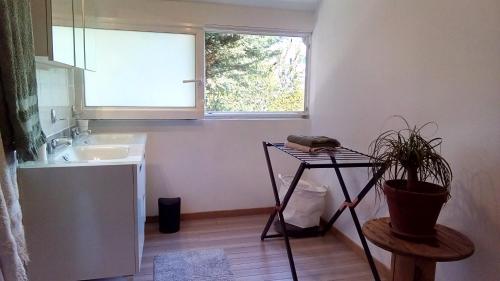 eine kleine Küche mit einem Waschbecken und einem Fenster in der Unterkunft Les Appartements du 31 - Centre Ville - 1er étage - 56 m2 in Quimper