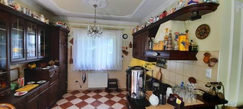 a kitchen with a counter with a blender in it at Noclegi Sylana in Kobyłka