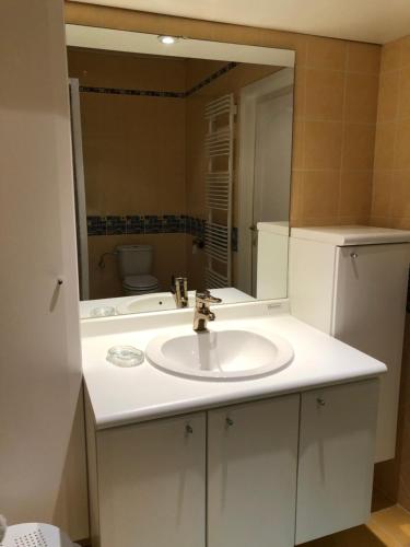 a bathroom with a sink and a mirror at Château Les Tourelles in Bertrix