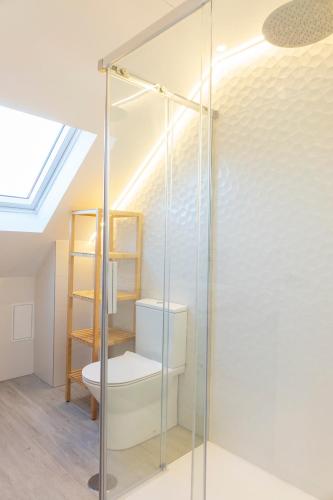 a bathroom with a glass shower with a toilet at Apartamentos Dunas de Samil in Vigo