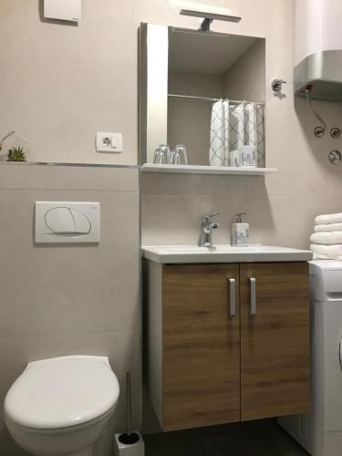 ein Badezimmer mit einem weißen WC und einem Waschbecken in der Unterkunft Apartmani "Allegro" in Podaca