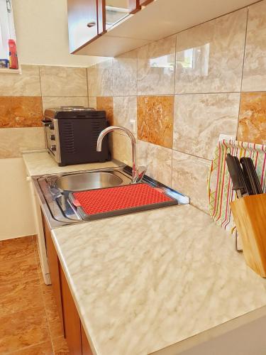 a kitchen counter with a sink and a microwave at Apartman Lukić in Korenica