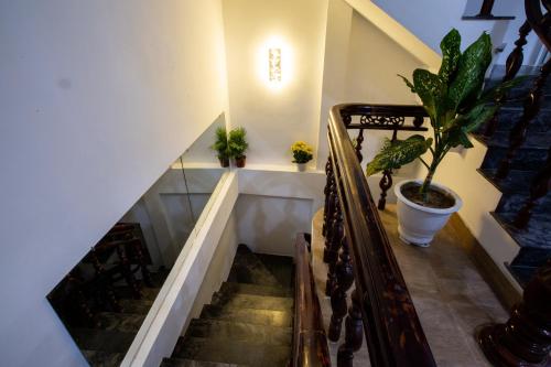 eine Treppe mit einer Topfpflanze an der Wand in der Unterkunft 5.T Hostel in Hue