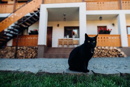 a black cat sitting in the grass in front of a house at Biscontini's Studio in Praid