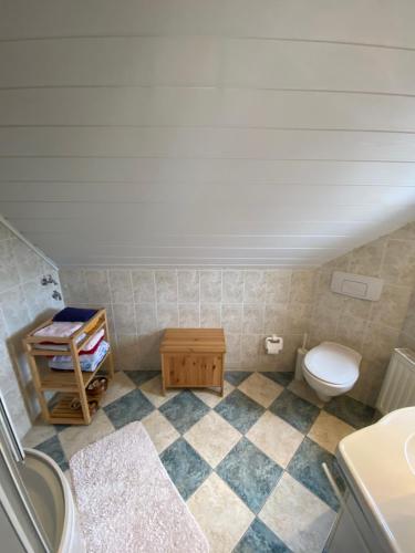 a bathroom with a toilet and a sink at DIREKT AM SKIHANG! Müller Ferienwohnungen in Kurort Oberwiesenthal