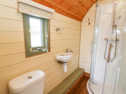 La salle de bains est pourvue de toilettes, d'un lavabo et d'une douche. dans l'établissement Meadow View, à Saint Harmon