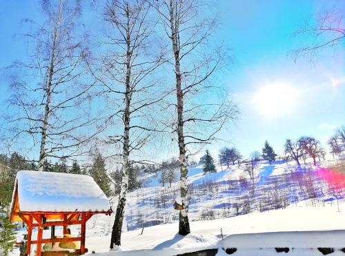 Sunny Hill kuća za odmor na Zlataru tokom zime