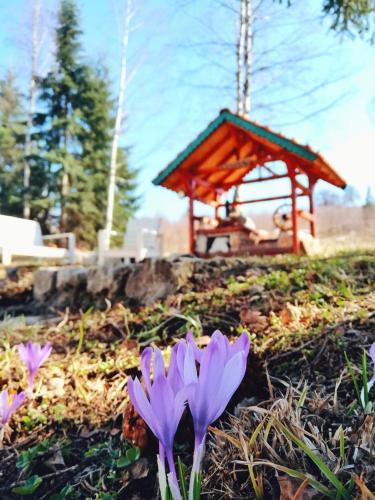 a group of purple flowers in front of a gazebo at Sunny Hill kuća za odmor na Zlataru in Vukovina