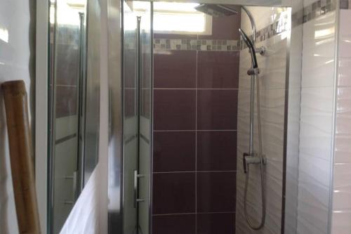 a shower with a glass door in a bathroom at Le Domaine de Boisvin in Sainte-Anne