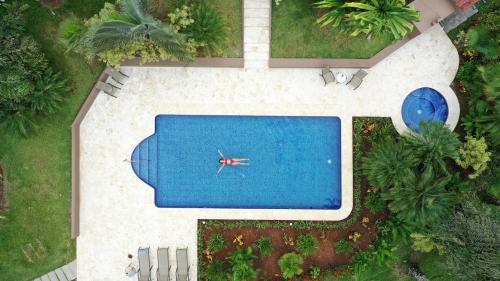 an overhead view of a swimming pool in a backyard at La Finca Lodge in Fortuna