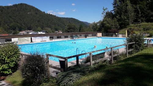 a large swimming pool with people swimming in it at Pension Kirchsteiger in Hohenberg