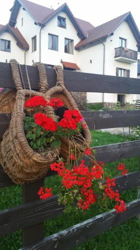 a basket filled with red flowers on a fence at Villa Zoryany Dvir in Skhidnitsa