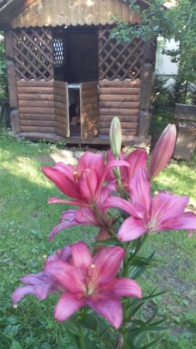 Un jardín fuera de ЛІСОВА ХАТИНКА