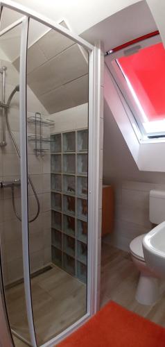 W łazience znajduje się prysznic, toaleta i umywalka. w obiekcie Foki Apartman w mieście Sopron