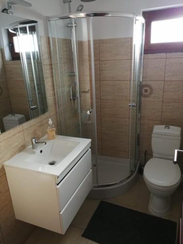 a bathroom with a shower and a sink and a toilet at La Casa Alana in Vişeu de Jos
