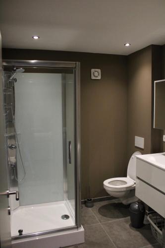 een badkamer met een douche en een toilet bij L’Ancienne Grange 1916 in Chevetogne
