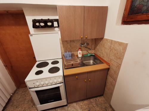 een kleine keuken met een fornuis en een wastafel bij Apartments Domaćinstvo Nikolić in Valjevo