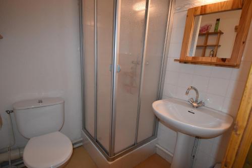 une salle de bain avec une douche, des toilettes et un lavabo dans l'établissement VAUJANYLOCATIONS - Cochette II Apt 15, à Vaujany