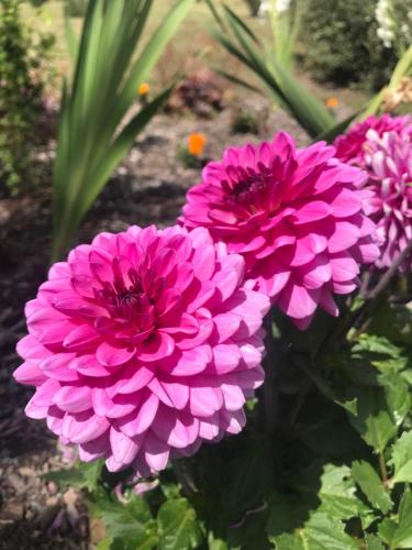 Photo de la galerie de l'établissement Belle demeure à la campagne, à La Tour-Saint-Gelin