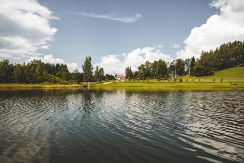 a large body of water with trees in the background at Šubrakkrasti in Vestiena