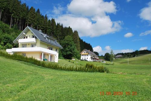 a house on a hill in a green field at Gasthaus Pension Donishäusle in Titisee-Neustadt